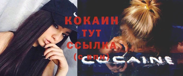 бошки Алексин