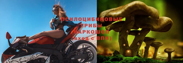 бошки Алексин