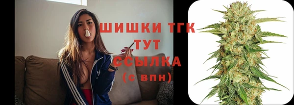 Альфа ПВП Мегион