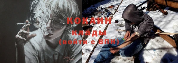 бошки Алексин