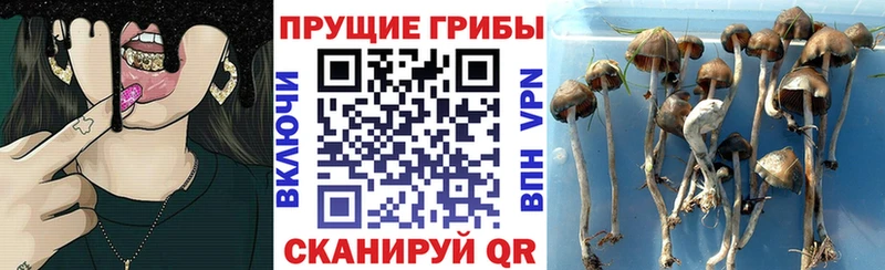 Псилоцибиновые грибы мухоморы  Назрань 